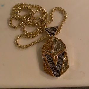 The Las Vegas golden knights hockey